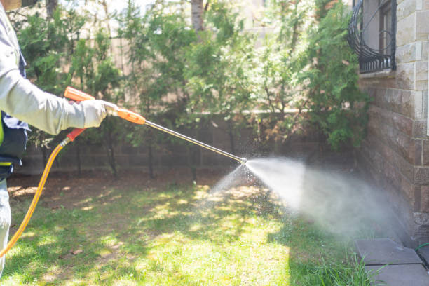 Best Organic or Eco-Friendly Pest Control  in Hahira, GA